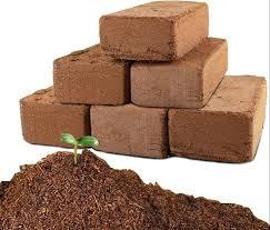 Bloc de fibre de coco pour la culture des plantes, amélioration du sol à haute rétention d'eau, briquette 650g, utilisation en jardinage intérieur - Product Image 5