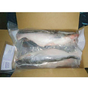 Pangasius Congelado de Vietnam, Pescado Entero de Primera Calidad, 30-45cm de Largo, Congelado en Bloque IQF, Tamaños Personalizados, Etiqueta Grado A/B, Pieza - Product Image 6