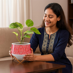 Maceta Metálica Mini con Acabado Caramelo, Diseño Elegante y Moderno para Plantas Suculentas - Product Image 5