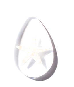 Starfish Real Specimen Plastic Cabochon Pear Shape Cut <b>Top</b> 33x22 mm Clear Flat Bottom for Crafts and Jewelry Making - Product Image 5