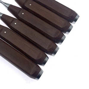 Kit Quirúrgico de Alta Calidad con Cuchillo para Huesos, Osteótomos Ortopédicos y Cincel para Huesos, de Acero Inoxidable Alemán, Certificado CE, Reutilizable - Product Image 6