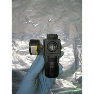 Régulateur d'air Speedaire 4ZM15, manomètre ABS, 300 - Équipement et pièces semi-conductrices de confiance au niveau mondial chez - Product Image 6