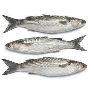 Pescado al por mayor de alta calidad: Salmón rosa fresco congelado entero, eviscerado o descapilarado, a la venta - Product Image 5