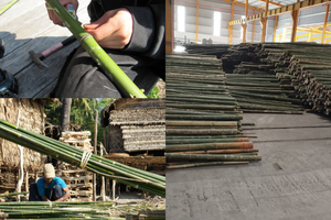 แท่งไม้ไผ่อเนกประสงค์สำหรับรองรับพืชตกแต่งบ้านและใช้กลางแจ้งบัวสีฟ้าเวียดนาม - Product Image 3