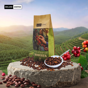 Granos de Café Robusta Puro de Vietnam Milano Premium, 250 g, Tueste Ligero, Aroma Intenso, Sabor Intenso, Venta al por Mayor, OEM, ODM, Personalizable - Product Image 6