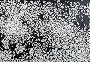 Vietnam Bulk Supply Glutinous Rice/Sticky Rice Basmati Jasmine Rice - Product Image 3