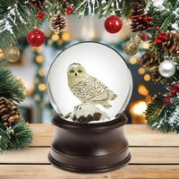 Boîte à musique personnalisée de San Francisco, globe à neige Hibou des neiges en résine, objet de collection charmant, idéal comme cadeau de Noël, thème artistique