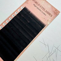 Extensions de cils vegan faites à la main les plus populaires, volume complet, 0.03 0.05, individuelles, application facile, marque privée Vietnam Nhu Y NY16