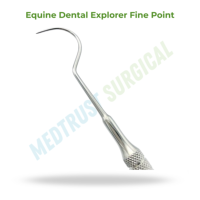 Explorer dentaire équin à pointe fine, 17 pouces (43 cm), instrument dentaire vétérinaire pour l'examen buccal des chevaux