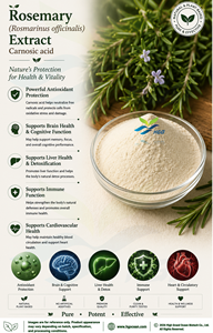 Hgo สารสกัดจากดอกโรสแมรี่ธรรมชาติบริสุทธิ์ (rosarinus officinalis) สารสกัดจากกรดคาร์โนซิค85% (สารสกัดมาตรฐาน) - Product Image 2