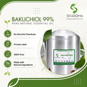 บาคูชิออลบริสุทธิ์สูง 99% สำหรับแบรนด์ความงามระดับมืออาชีพ คุณภาพคงที่ บรรจุภัณฑ์ตามสั่ง ขายส่งและส่งออก - Product Image 6