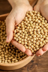 Haricots secs de haute qualité, graines de soja non-OGM, directement de l'usine, riches en protéines, graines de soja - Product Image 4