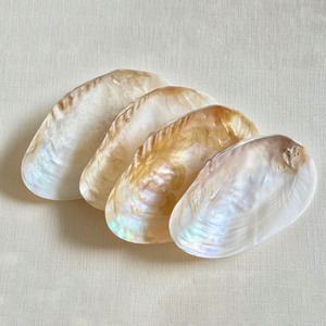 Vente chaude divers types coquillage et perle matériel meilleur prix M O P nacre coquille - Product Image 2