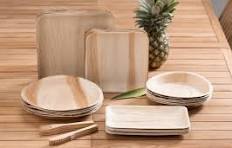 Assiettes en feuilles de palmier Areca écologiques en gros, vaisselle biodégradable pour le déjeuner et le camping - Product Image 2
