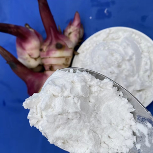 Meilleure vente : Amidon de racine d'arrowroot biologique de qualité supérieure, goût naturel, pour aliments et ingrédients, emballé en sac, provenant du Vietnam - Product Image 1