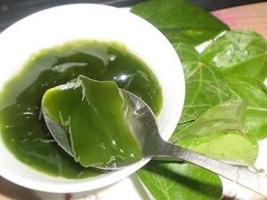 Bai Ya Nang แบบแช่แข็งสำหรับขายอาหารและบริการอาหารเวียดนาม - Product Image 6