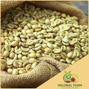 เมล็ดกาแฟอาราบิก้าออร์แกนิกคุณภาพสูง ไม่ใช่พืช GMO ผลิตจากเวียดนาม IIGLOBAL FARM เกรด S16 24 ระดับความสุก สารสกัดกาแฟแบบขายส่ง - Product Image 1