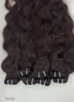 Extensions de cheveux vierges Remy 100 % indiens, double trame, tissées à la machine, 100 g, toutes couleurs, vente en gros HAIR FASHION INDIA
