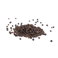Poivre noir du Vietnam, grains bruts séchés, emballés sous vide, 25 kg, marque Kentary, pour distribution mondiale, épices et herbes uniques, séchage AD