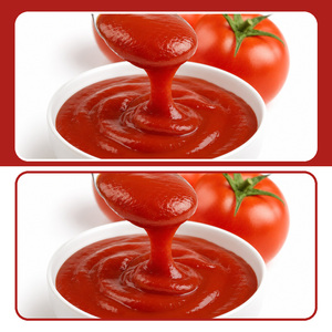 Vietnam Manufacturer Supply International Standard Tasty Competitive Price Hot Sale Tomato <b>sauce</b> Customized Packaging - Product Image 3