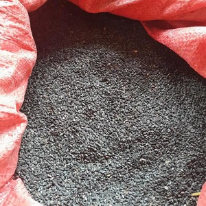 เมล็ดงาดำธรรมชาติคุณภาพมาตรฐาน ผลิตภัณฑ์ทางการเกษตร - Product Image 2
