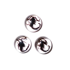 Cabujón de Plástico con Espécimen Real de Escorpión Negro, Redondo, 13x13 mm, Base Plana Transparente, para Manualidades y Joyería - Product Image 1