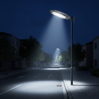 IP65 Outdoor Aluminium Wasserdichte Straßenleuchte 30W - 200W mit CE-Zertifizierung Anpassbar
