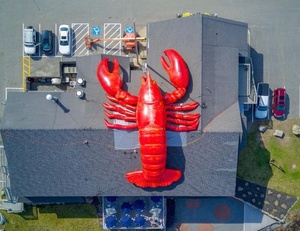 <span class=keywords><strong>Homard</strong></span> Rouge Géant Gonflable en Tissu Oxford avec Logo Personnalisé, Modèle de <span class=keywords><strong>Homard</strong></span> du Maine pour Promotion de Restaurant/Événement de Plage/Festival - Product Image 3