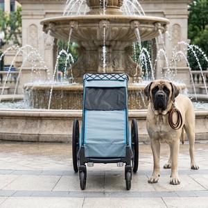Remolque para bicicleta KS-6200 para perros grandes, cochecito para mascotas, plegable, con marco de aleación de aluminio, tela resistente al agua 600D para exteriores - Product Image 1