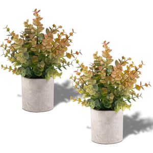 Set di 2 Piccole Piante di Eucalipto Artificiali in Vaso, Decorazione Autunnale per Casa, Ufficio, Casetta, Tavolino da Caffè - Product Image 1