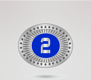 Ceinture de championnat de lutte en cuir avec design de texte bleu argenté, style champion du monde, quatre plaques latérales personnalisables - Product Image 4