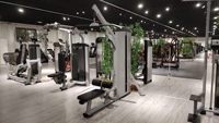 Equipo de gimnasio comercial para fitness y deportes: Máquina de cable para dominadas asistidas, flexiones y remo bajo con asistencia de fuerza.
