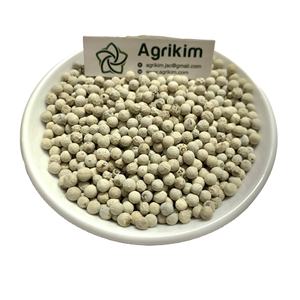 2024 Crop ISO Certified Premium Doble lavado Pimienta blanca de Vietnam Nueva tecnología Hierba empapada al vapor Exportación cruda Especias secas - Product Image 3