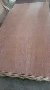 ไม้อัดเชิงพาณิชย์คุณภาพสูง FOMEX GREEN WOOD บินตังกอร์, โอคูเม สำหรับใช้งานภายในอาคาร ความหนา 5-24 มม. ขนาด 1220x144 ซม. มาตรฐานการปล่อยมลพิษ E1 - Product Image 5