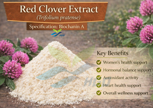 Suministro Directo de Fábrica HGO de Extracto Puro y Natural de Trébol Rojo, Grado Alimenticio, Especificación 98% Biochanina A, Extracto Estandarizado - Product Image 2