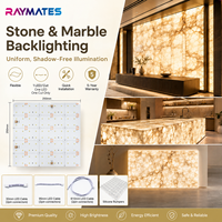 Feuille LED Mono DC24V Ultra Fine et Légère, 160 LED, CRI90 Personnalisable, Panneau LED Flexible pour Éclairage Décoratif de Comptoirs en Pierre