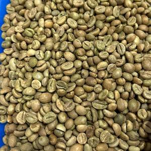 Café Robusta de Vietnam en Grano Entero, Puro y Natural, Suministro Directo de Fábrica para Exportación, Bolsas de PP de 60 kg, Venta al Por Mayor - Product Image 5