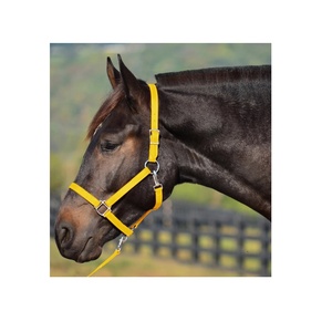 Cabestro Ecuestre para Caballos Más Vendido, Cinta Recubierta de PVC, Color y Tamaño Personalizables, Súper Suave, Ligero, Elegante y Personalizable - Product Image 2