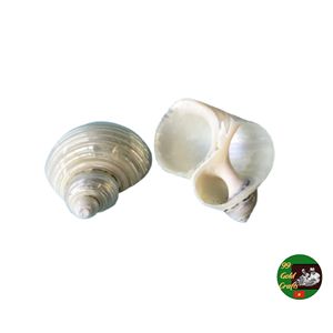 Ronds de serviette élégants en forme de coquillage pour mariages, banquets, fêtes, hôtels, restaurants et fournitures de décoration d'événements de luxe - Product Image 2