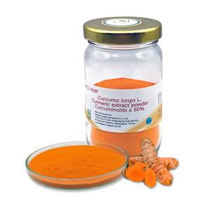 Polvo de extracto de cúrcuma de grado de alta calidad 80% Curcuminoide Tambor cultivado salvaje Embalaje Extracto de hierbas KMP Venta Tailandia - Product Image 1