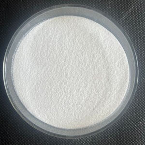 Proveedor Indio de Lactobacillus Buchneri en Polvo de Grado Alimenticio, 10-200 BN UFC/g, para la Fabricación de Alimentos Funcionales y Piensos, en Venta - Product Image 1