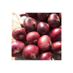 Oignons rouges à prix réduit disponibles pour les commandes agricoles en gros - Product Image 6