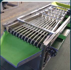 Máquina Clasificadora de Frutas con Rodillos para Manzanas y Naranjas - Gran Capacidad, Alta Eficiencia, Multifunción, 110/220/380V, 1 Año de Garantía - Product Image 3