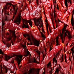 Nueva Cosecha de Chile Rojo Entero Indio, Producto a Granel de Primera Calidad para Compradores Internacionales que Buscan Pimientos Secos Indios Auténticos - Product Image 2