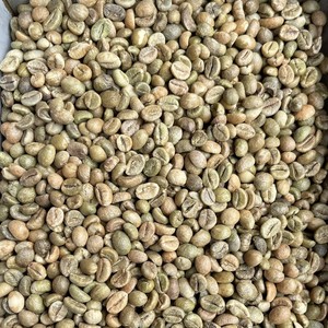 Pure <b>Robusta</b> Green <b>Coffee</b> <b>Beans</b> for <b>Coffee</b> Factory Wet polished Process Size 16 Vietnam Highland Direct Export - Product Image 3