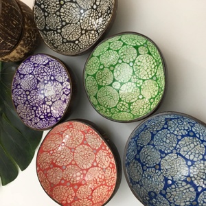 Tazón de registro Natural para fruta, plato de ensalada, artesanías decorativas, taza de helado de concha de coco, cubiertos creativos de postre - Product Image 6