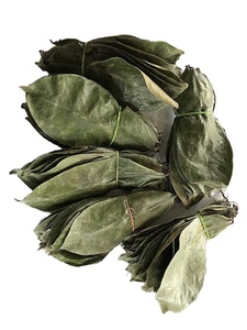 Best Value Dried Soursop Leaf | Guaranteed Lowest Price for Container Load - Product Image 5