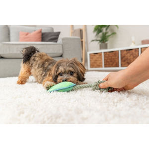 Giocattolo Interattivo con Gamba su Corda da 22 cm per Animali Domestici - Product Image 3