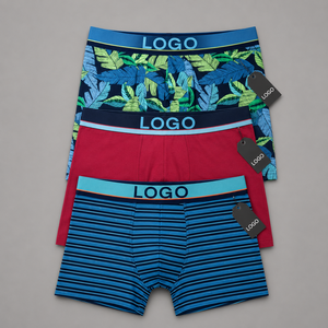 Sous-vêtements pour homme, caleçons boxer en coton extensible, respirant, doux, confortable, ceinture élastique jacquard, logo personnalisé, OEM, étiquette privée - Product Image 6