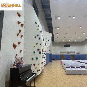 Kletterwand Erwachsene Klettergerüst Kletter struktur Spiele für Indoor-Spielplatz - Product Image 5